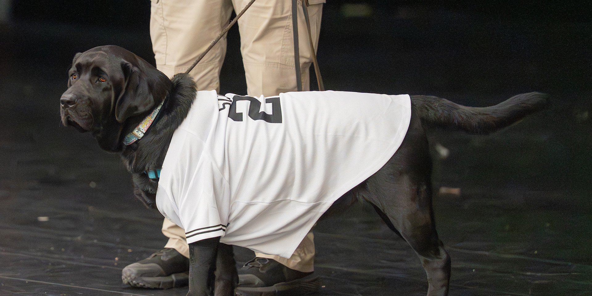 Scout with his new jersey