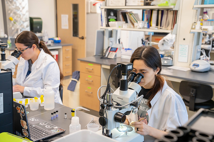 Students with Microscopes